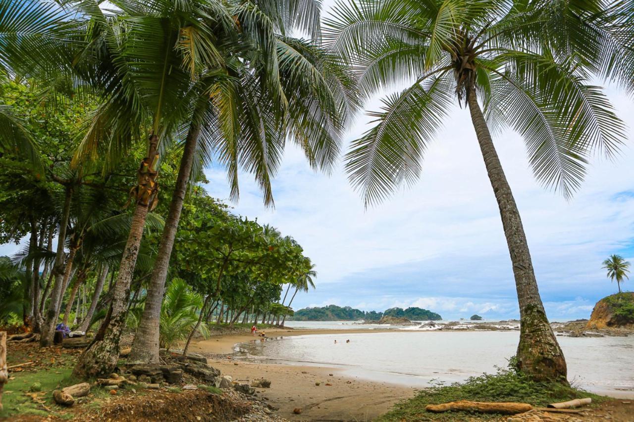 Pacific Edge Eco Lodge โดมินิกัล ภายนอก รูปภาพ