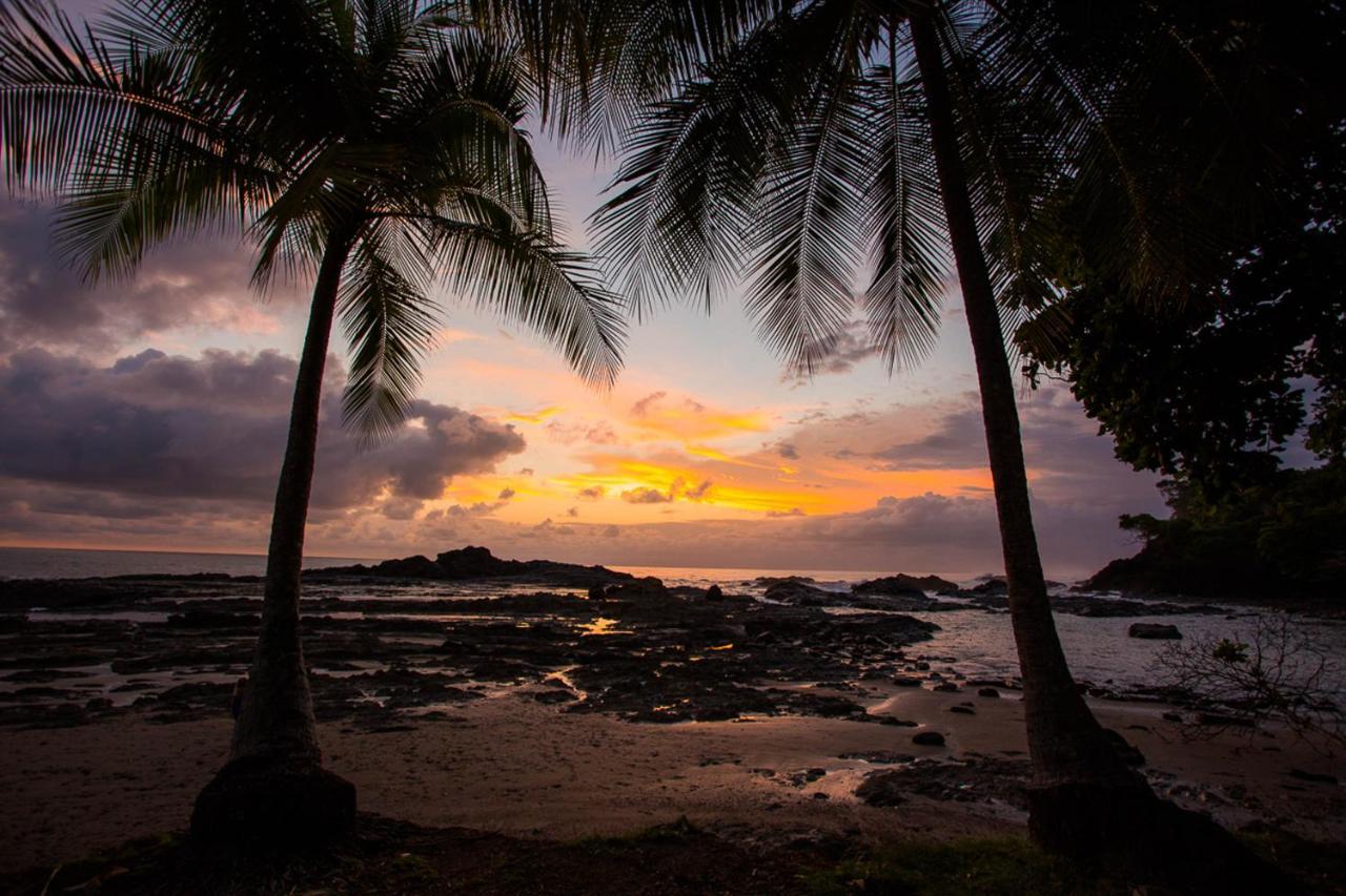 Pacific Edge Eco Lodge โดมินิกัล ภายนอก รูปภาพ