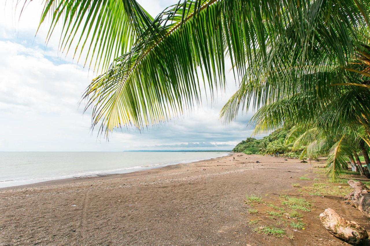Pacific Edge Eco Lodge โดมินิกัล ภายนอก รูปภาพ