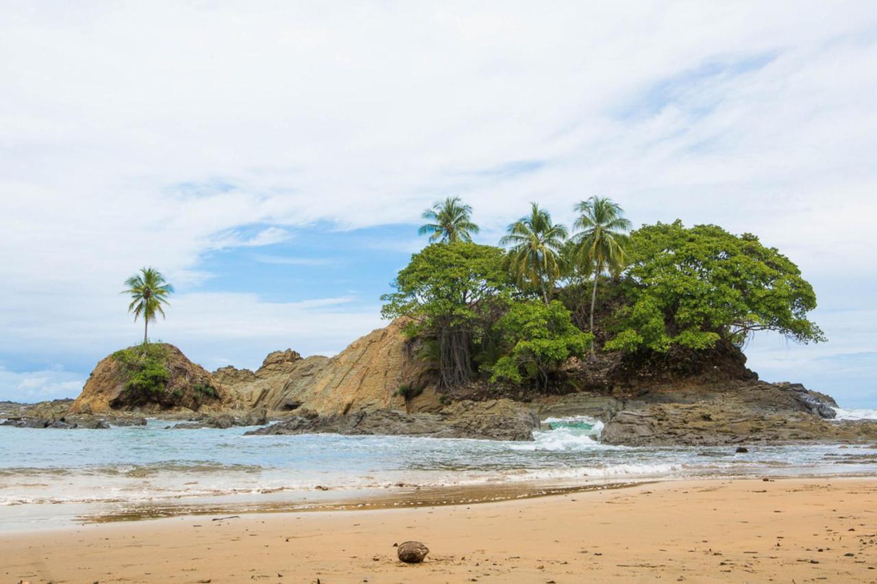 Pacific Edge Eco Lodge โดมินิกัล ภายนอก รูปภาพ