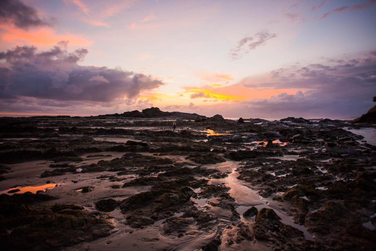 Pacific Edge Eco Lodge โดมินิกัล ภายนอก รูปภาพ