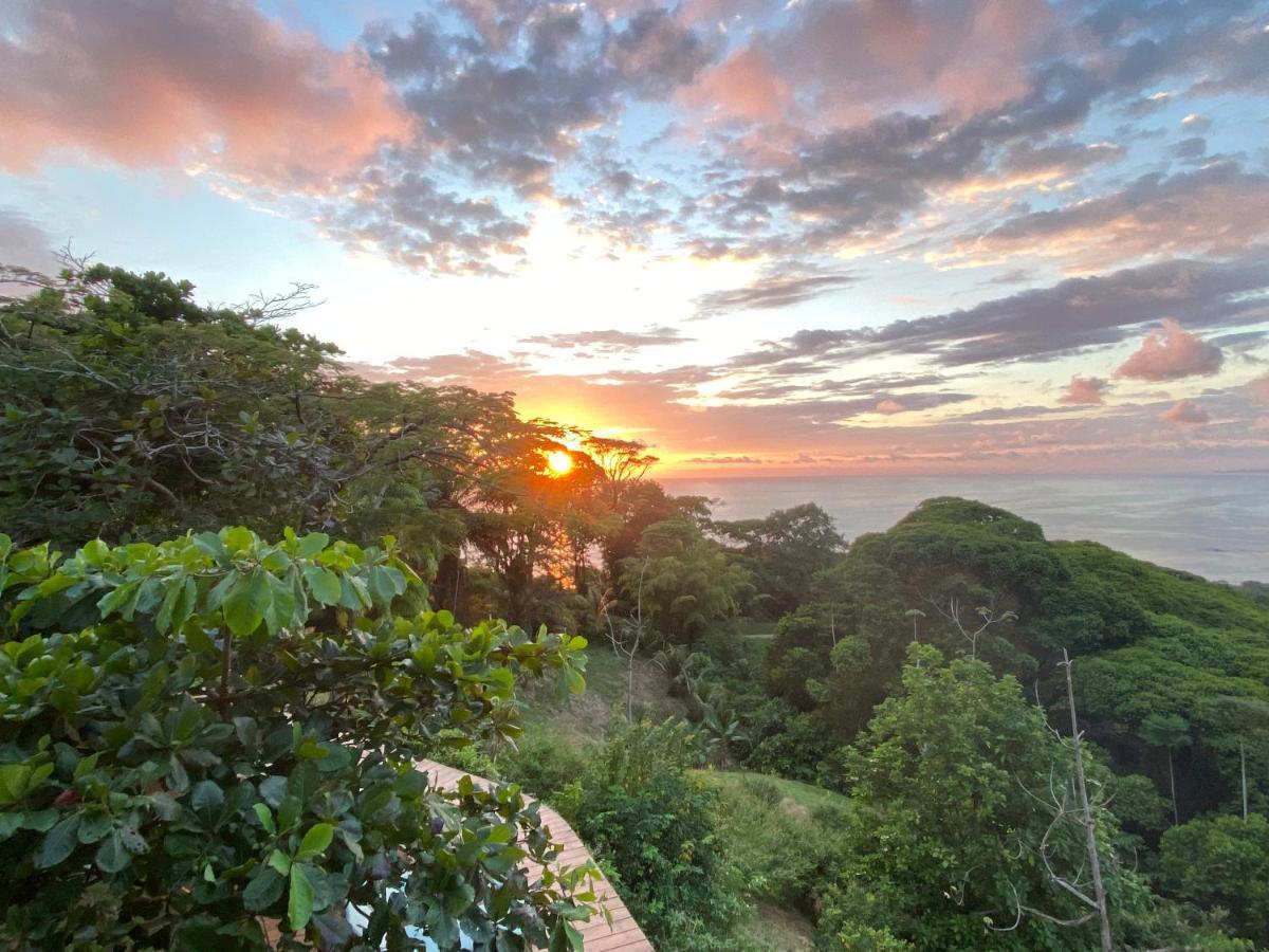 Pacific Edge Eco Lodge โดมินิกัล ภายนอก รูปภาพ