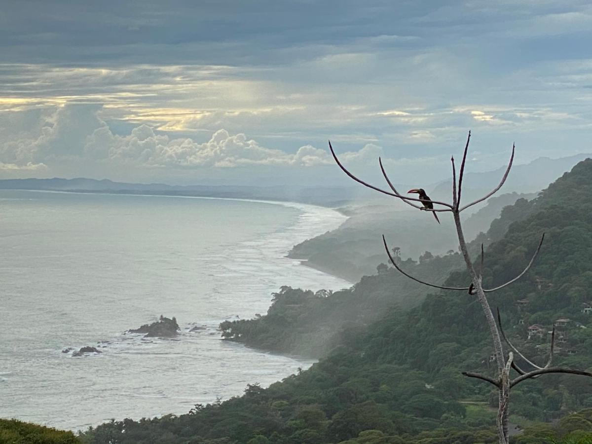 Pacific Edge Eco Lodge โดมินิกัล ภายนอก รูปภาพ