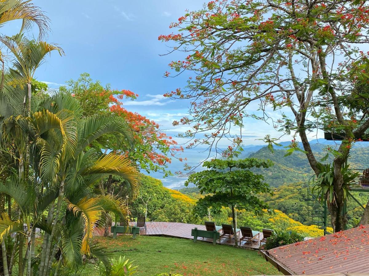 Pacific Edge Eco Lodge โดมินิกัล ภายนอก รูปภาพ