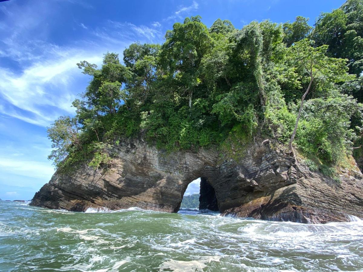 Pacific Edge Eco Lodge โดมินิกัล ภายนอก รูปภาพ