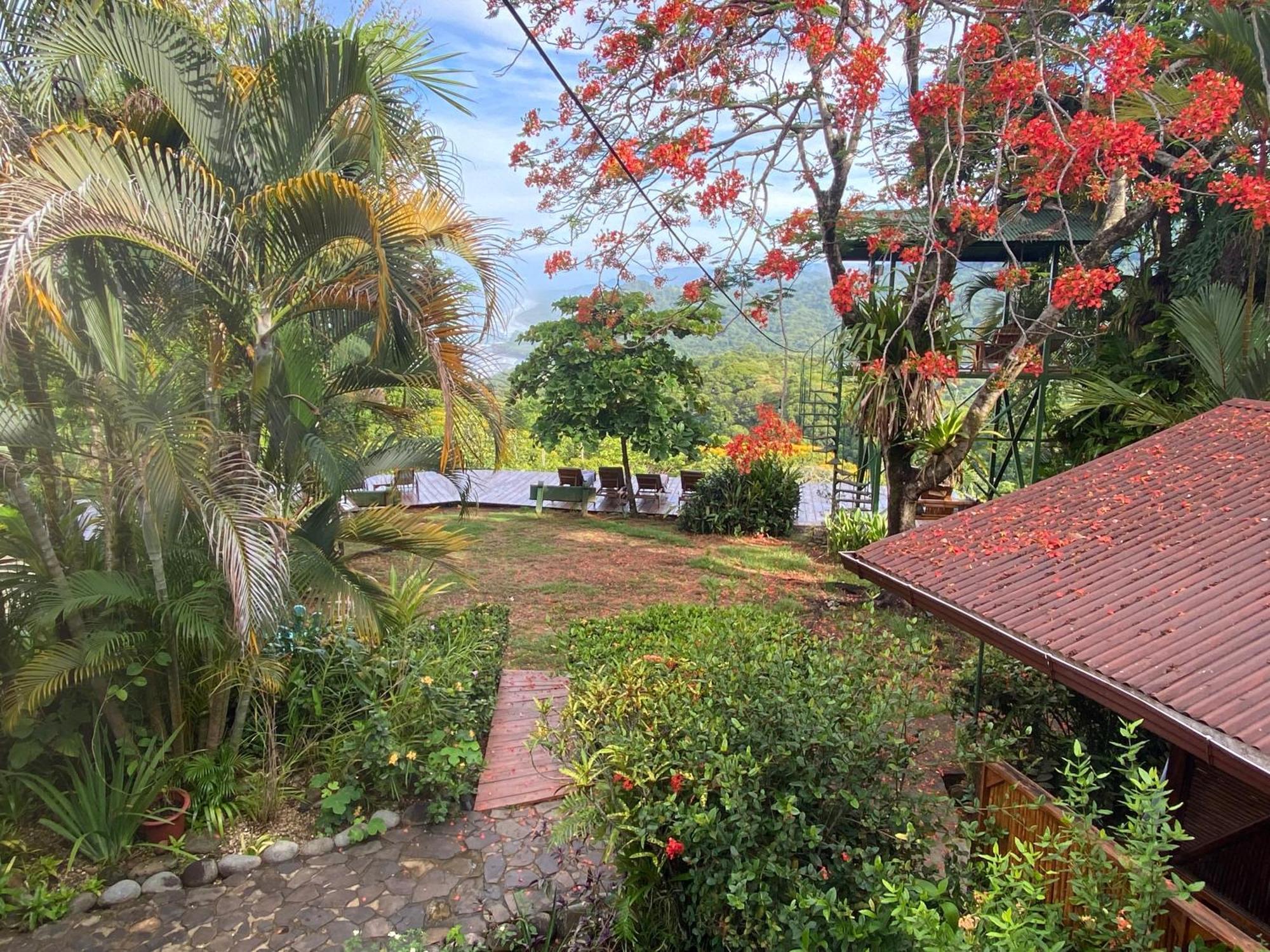 Pacific Edge Eco Lodge โดมินิกัล ภายนอก รูปภาพ