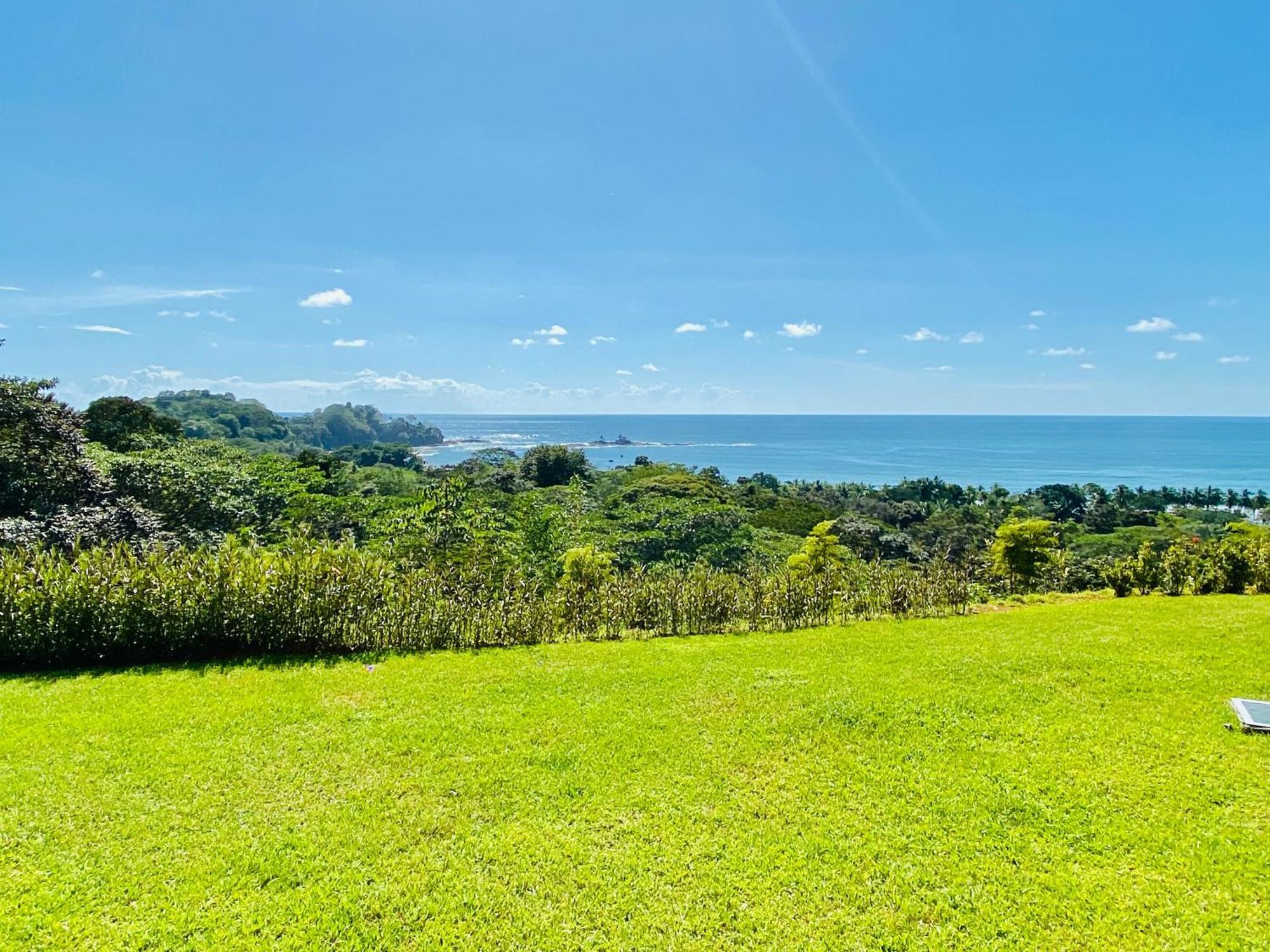 Pacific Edge Eco Lodge โดมินิกัล ห้อง รูปภาพ